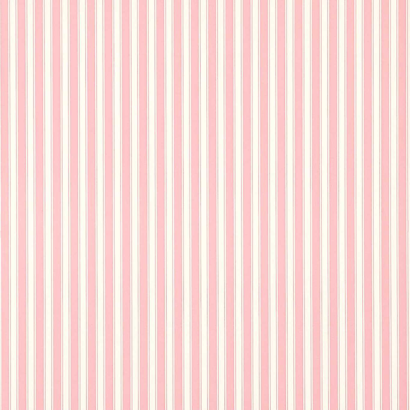 Sanderson New Tiger Stripe Rose/ Ivory Wallpaper Sample DCAVTP101