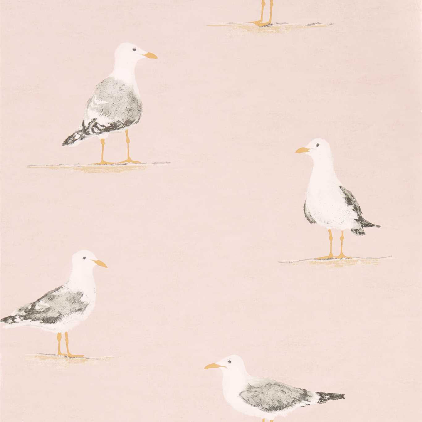 Sanderson Shore Birds Blush Wallpaper Sample DCOA216562