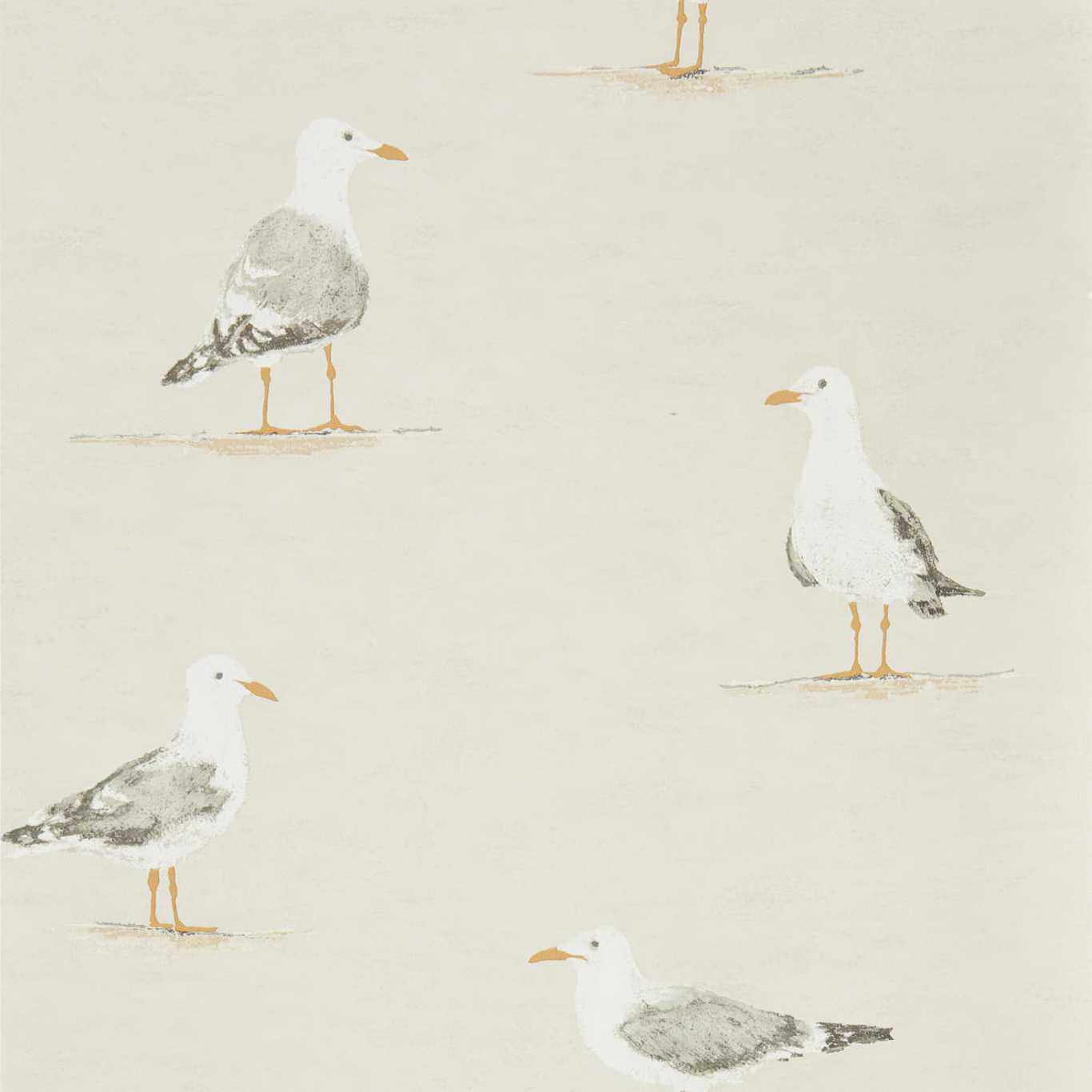 Sanderson Shore Birds Driftwood Wallpaper Sample DCOA216563