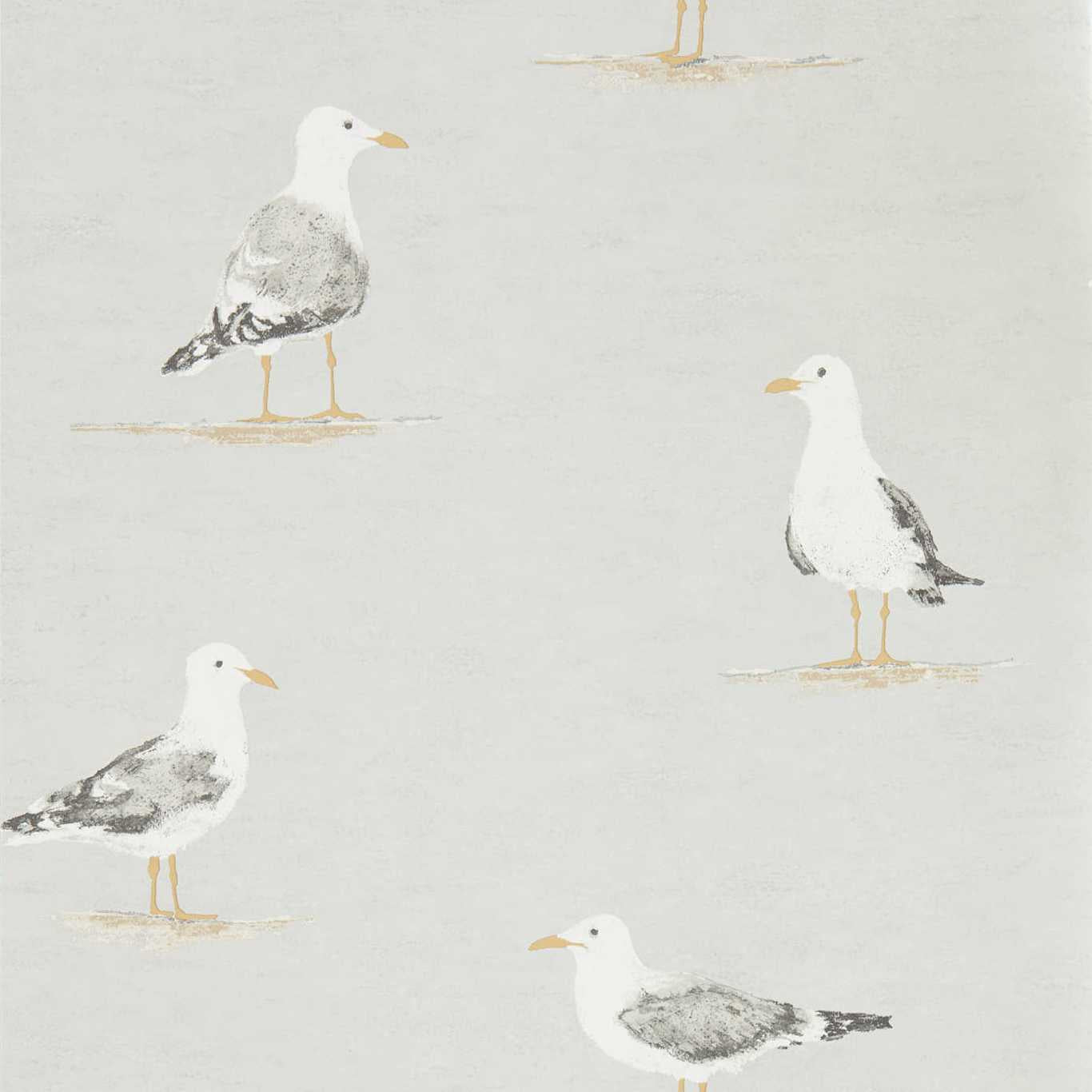 Sanderson Shore Birds Gull Wallpaper Sample DCOA216565