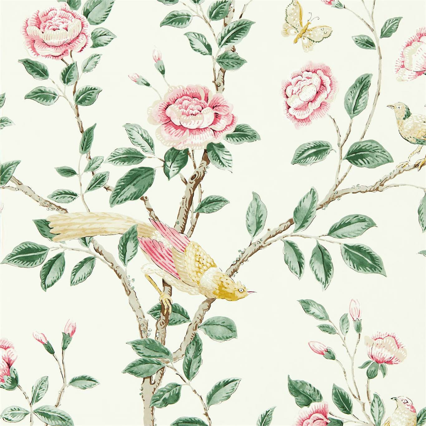 Sanderson Andhara Rose/Cream Wallpaper Sample DCPW216795