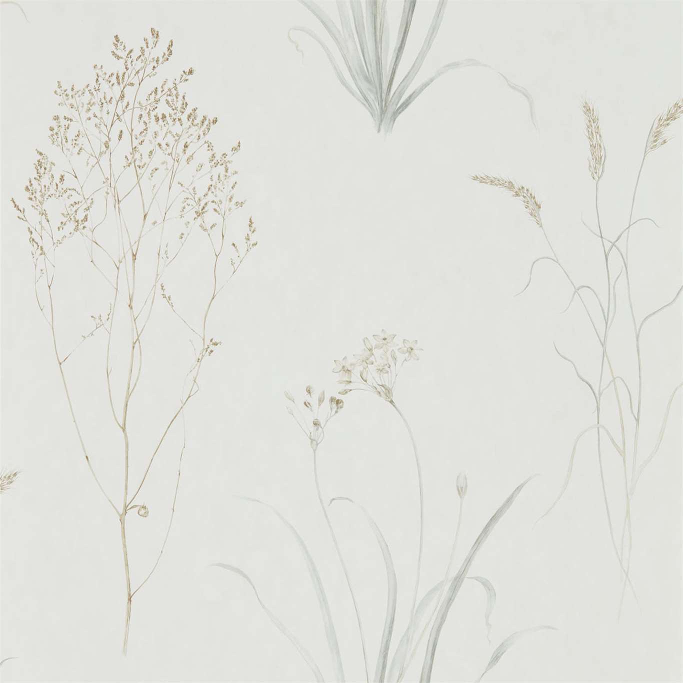 Sanderson Farne Grasses Silver/Ivory Wallpaper Sample DEBB216487