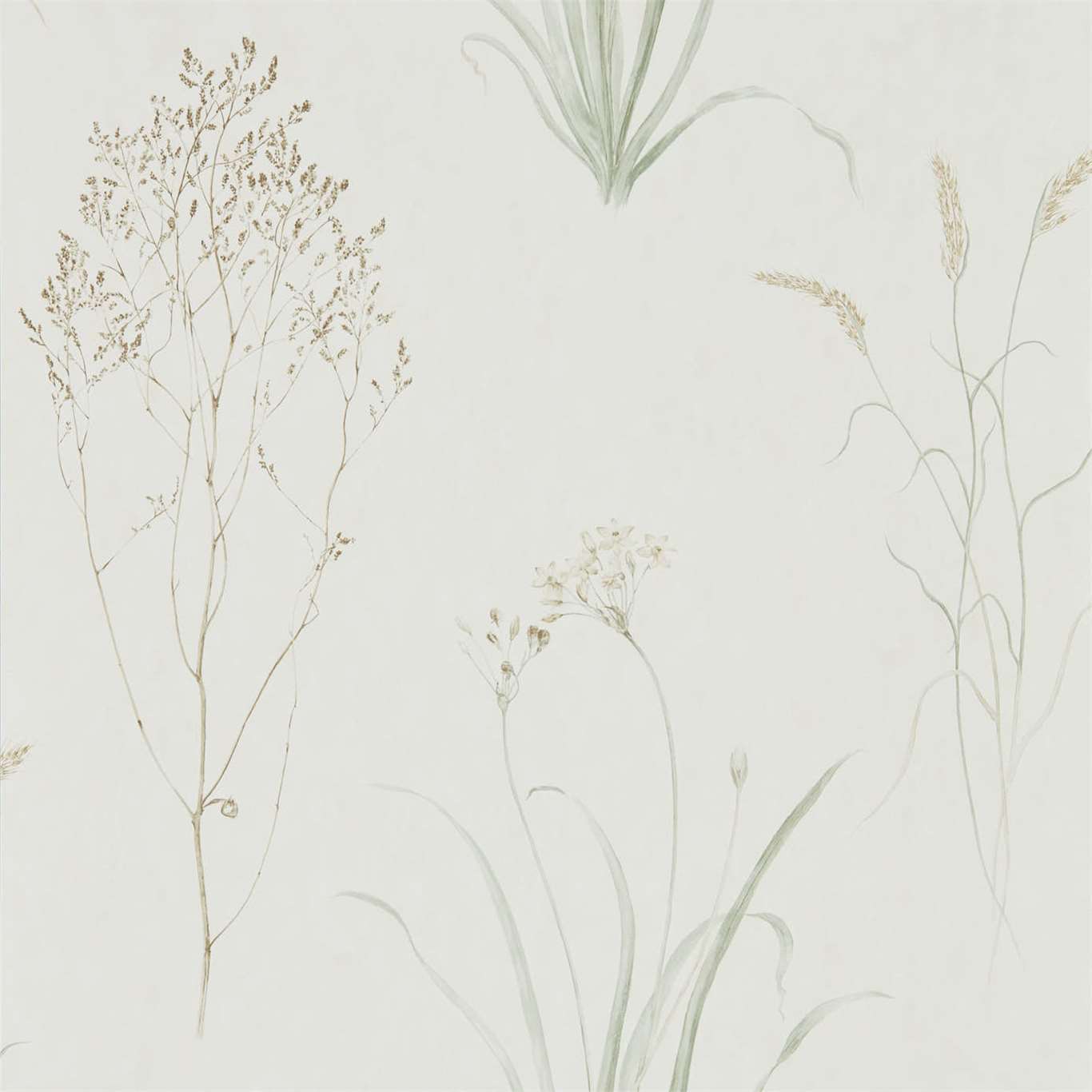 Sanderson Farne Grasses Willow/Pebble Wallpaper Sample DEBB216488