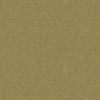 Kravet Couture Debut Pumice Fabric DEBUT.21.0