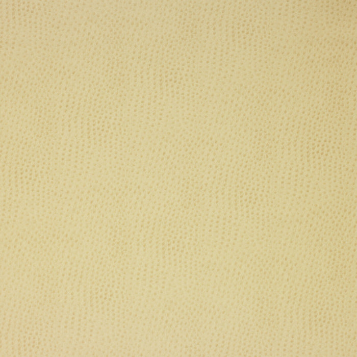 Kravet Design DELANEY.116.0 Delaney-116 Fabric Sample