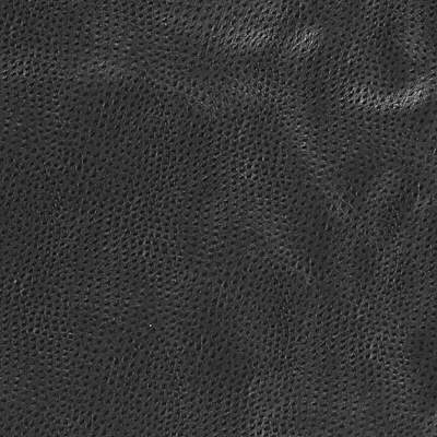 Kravet Design DELANEY.8.0 Delaney-8 Fabric