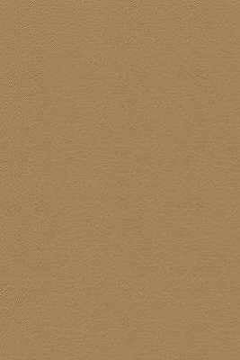 Kravet Design DESIRE.16.0 Desire-16 Fabric