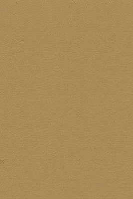 Kravet Design DESIRE.4.0 Desire-4 Fabric Sample