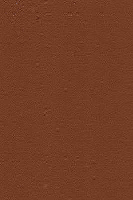 Kravet Design DESIRE.6.0 Desire-6 Fabric Sample