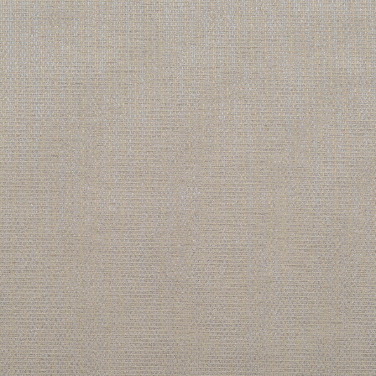 Donghia Falcon Cream Fabric Sample DG-10296.020.0