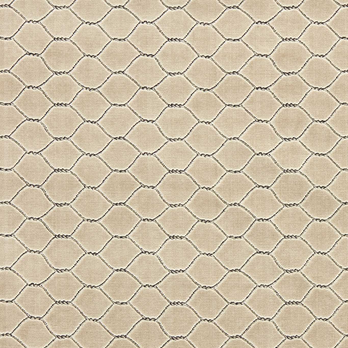 Sanderson Faraday Velvet Stone Fabric Sample DGDV237403