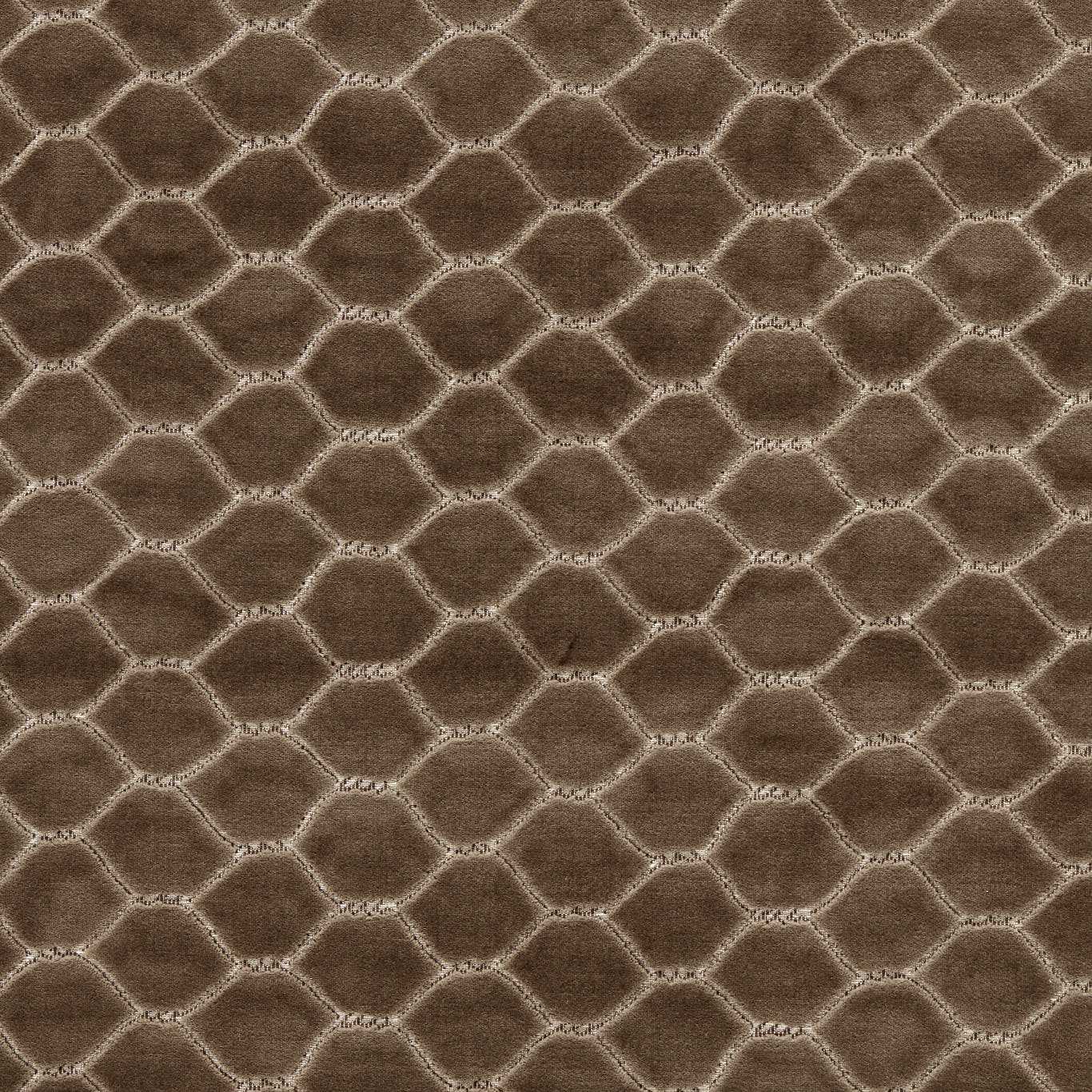 Sanderson Faraday Velvet Walnut Fabric Sample DGDV237411