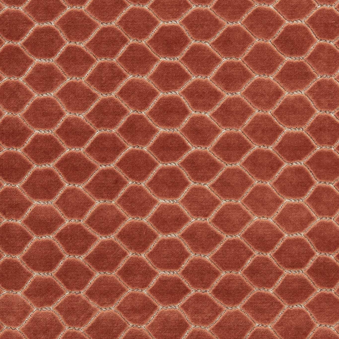 Sanderson Faraday Velvet Sandstone Fabric Sample DGDV237413