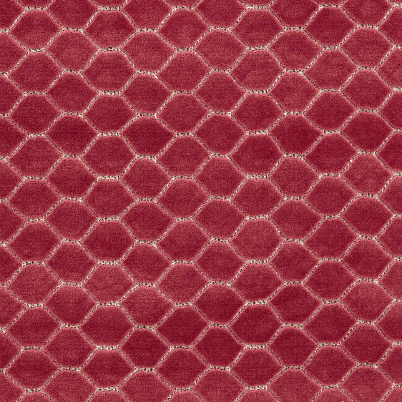 Sanderson Faraday Velvet Carmine Fabric Sample DGDV237416