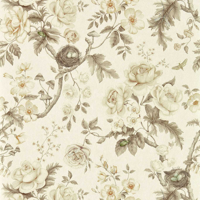 Sanderson Tansy Bloom Oyster Wallpaper DGDW217315