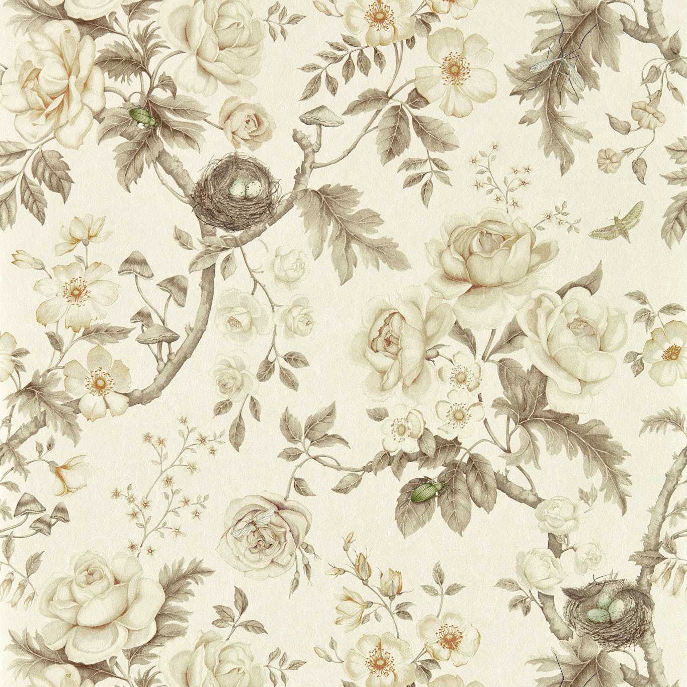 Sanderson Tansy Bloom Oyster Wallpaper Sample DGDW217315