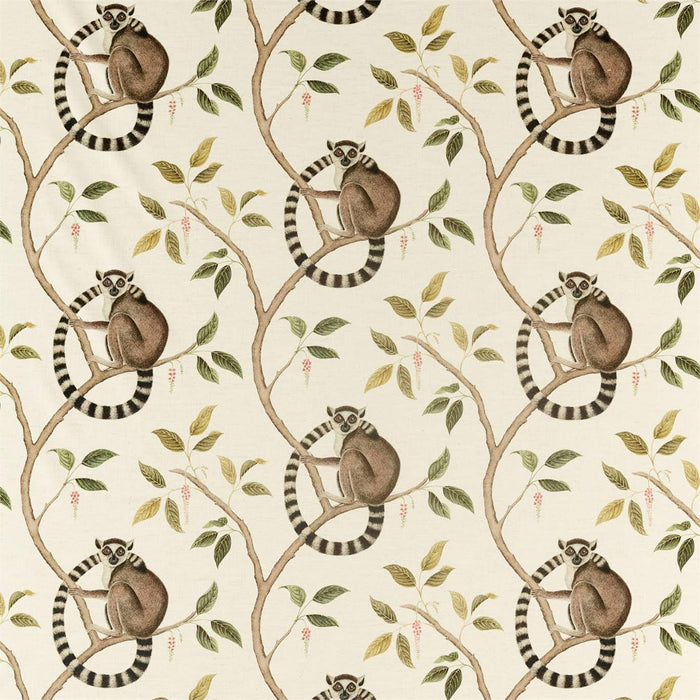 Sanderson Ringtailed Lemur Olive Fabric Sample DGLA226581