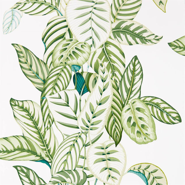 Sanderson Calathea Botanical Green DGLW216630 Sample | 40% Off (Samples)