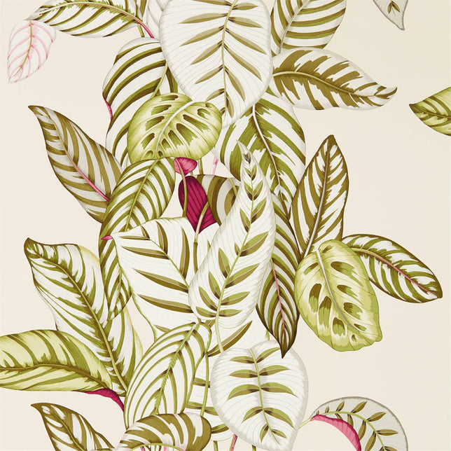 Colar E Sample Sanderson Calathea Botanical Green DGLW216630 Sample | 40% Off (Samples)