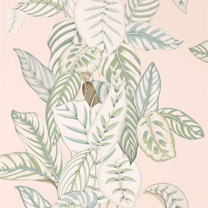 Sanderson Calathea Orchid/Eucalyptus Wallpaper Sample DGLW216632