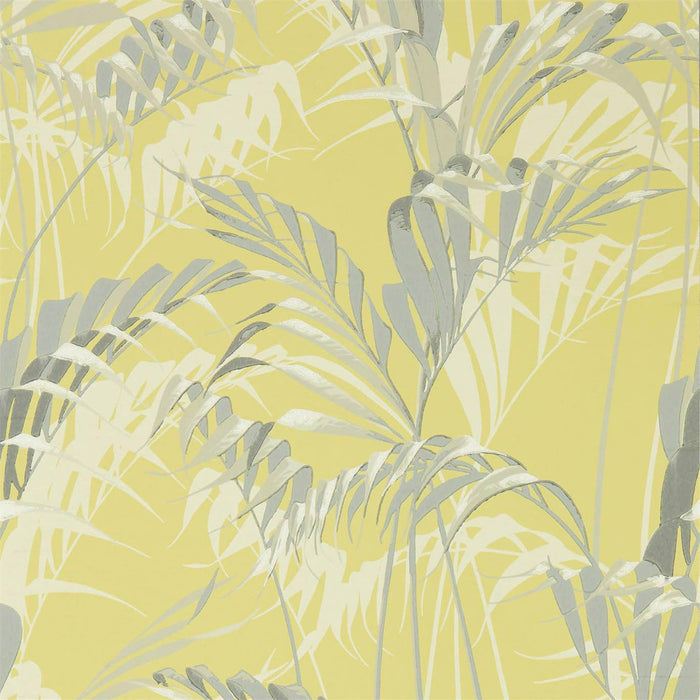 Sanderson Palm House Chartreuse/Grey Wallpaper Sample DGLW216642