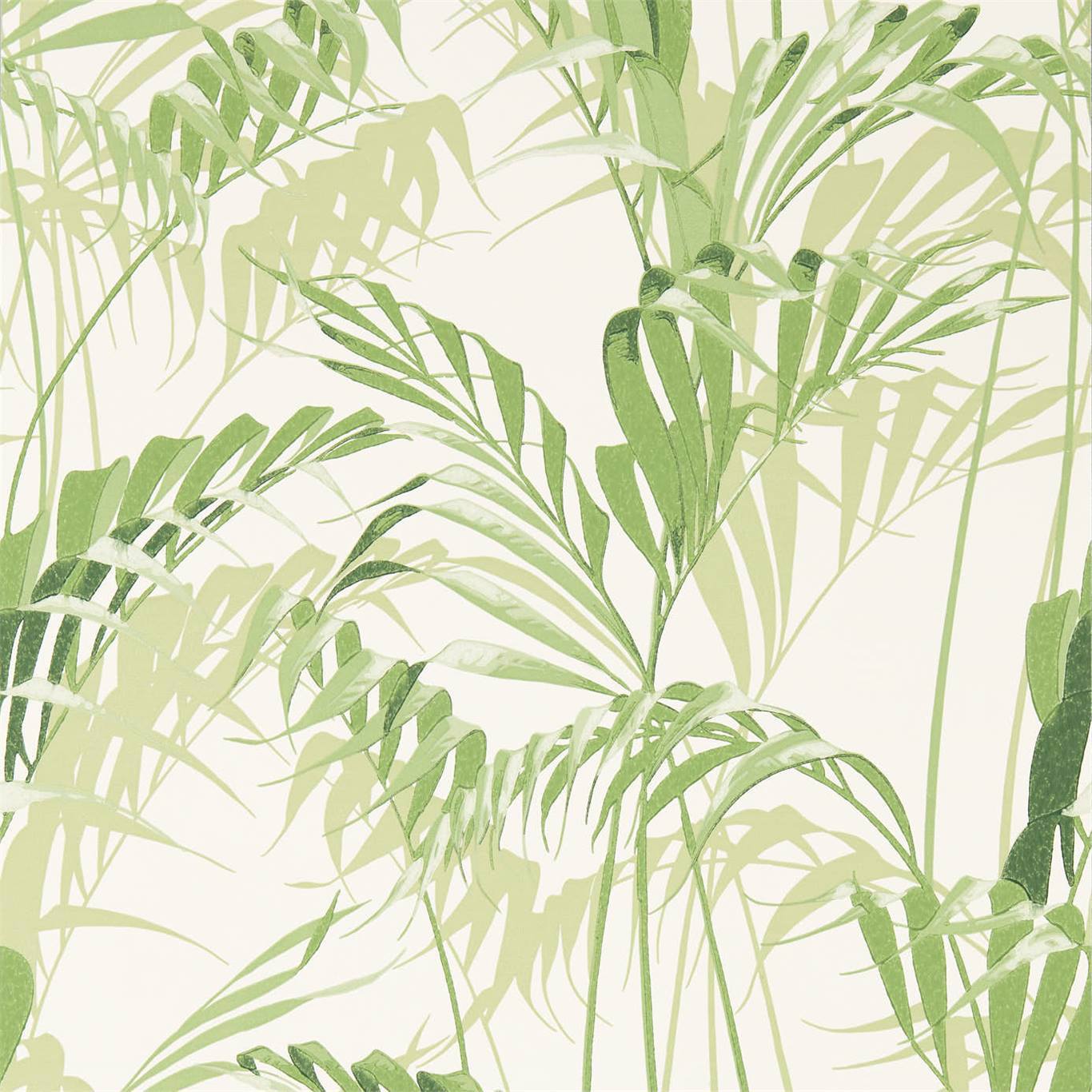 Sanderson Palm House Botanical Green Wallpaper Sample DGLW216643