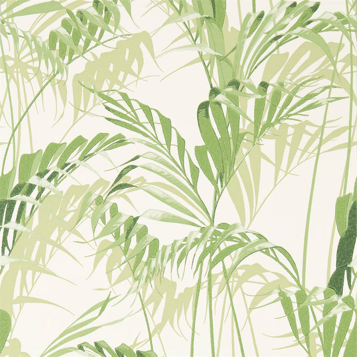 Sanderson Palm House Botanical Green Wallpaper Sample DGLW216643