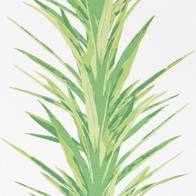 Sanderson Yucca Charcoal/Gold DGLW216651 Sample | 40% Off (Samples)