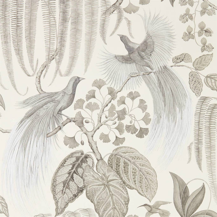Sanderson Bird of Paradise Linen Wallpaper Sample DGLW216652