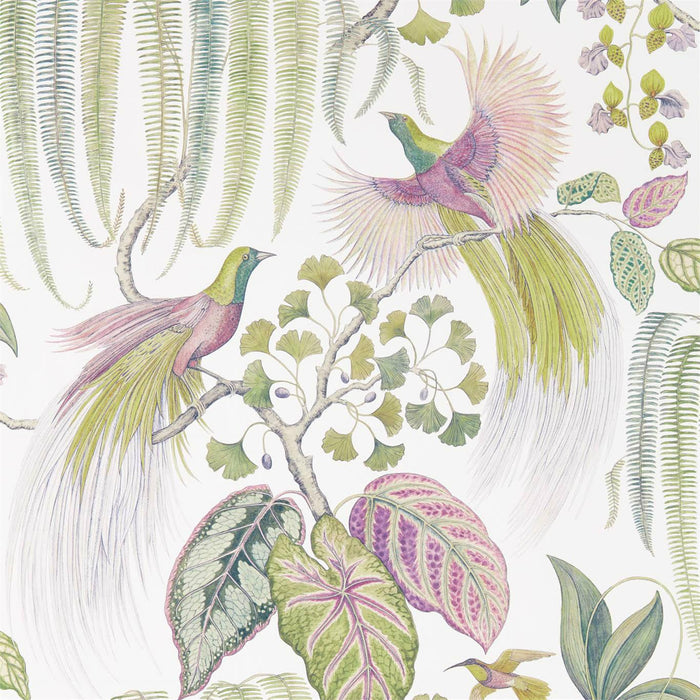 Sanderson Bird of Paradise Orchid Wallpaper Sample DGLW216654