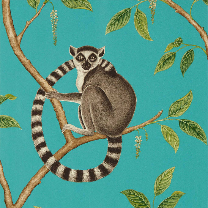Sanderson Ringtailed Lemur Teal Wallpaper Sample DGLW216663