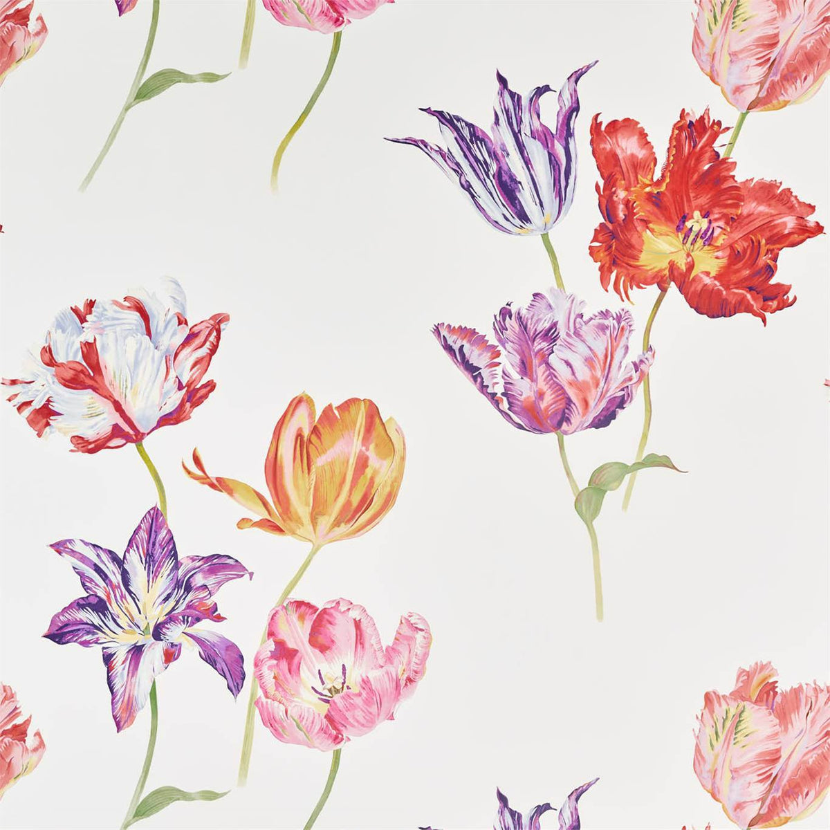 Sanderson Tulipomania Tulipomania Botanical DGLW216666 Wallpaper | 40% ...