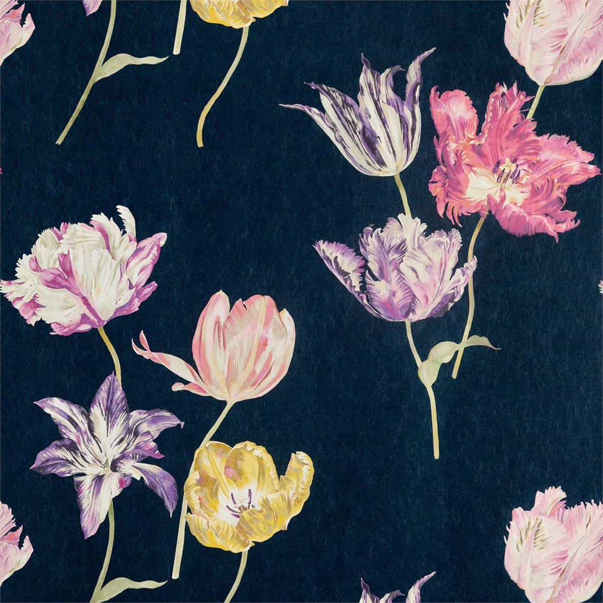 Sanderson Tulipomania Tulipomania Ink DGLW216667 Sample | 40% Off (Samples)