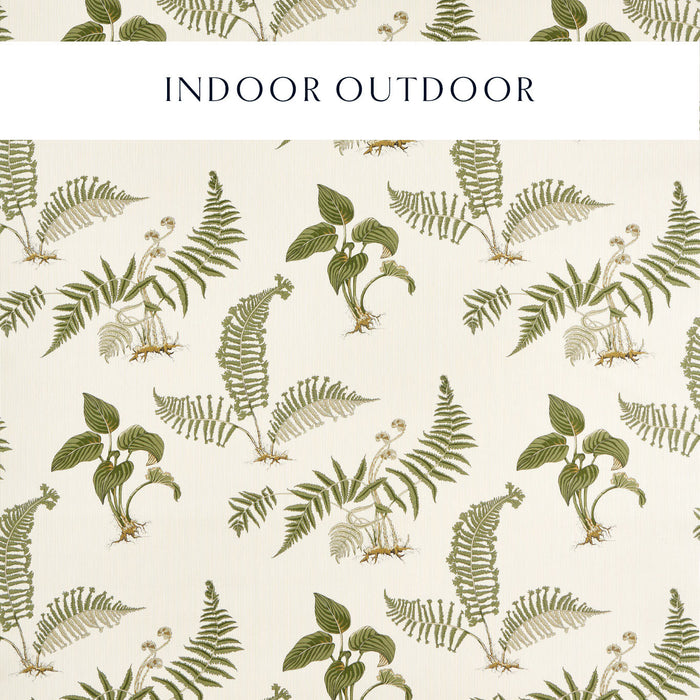 Sanderson Hosta & Fern Olivine Fabric Sample DHIF227337