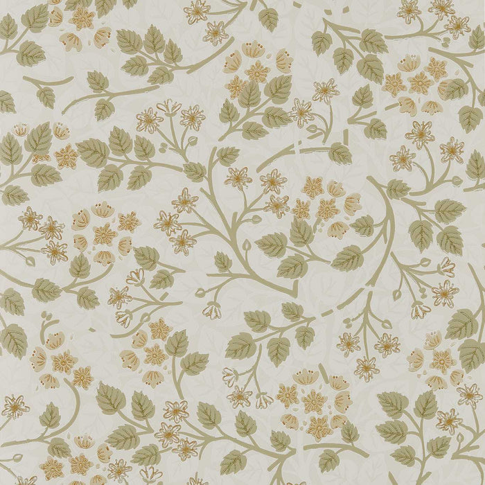 Sanderson Silver Lime Lichen Wallpaper DHIP217515