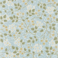 Sanderson Silver Lime Mineral/Gooseberry Wallpaper DHIP217517