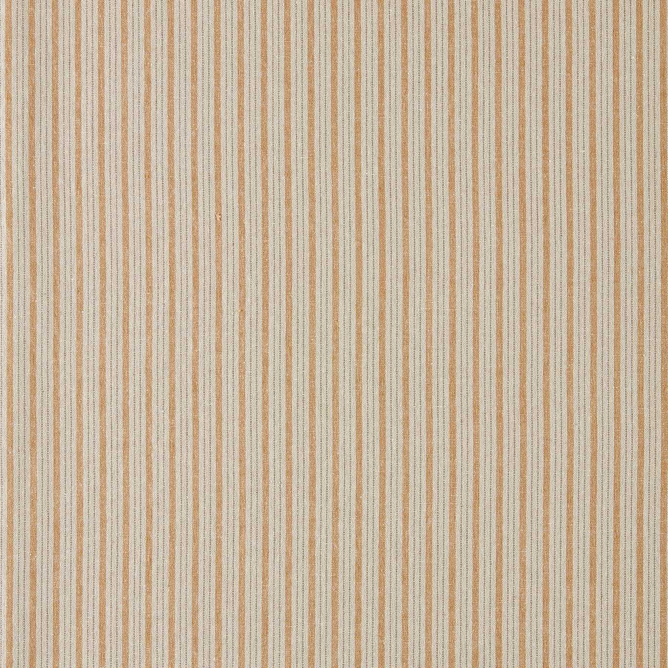 Sanderson Tetbury Stripe Golden Knot Fabric Sample DHPS237627