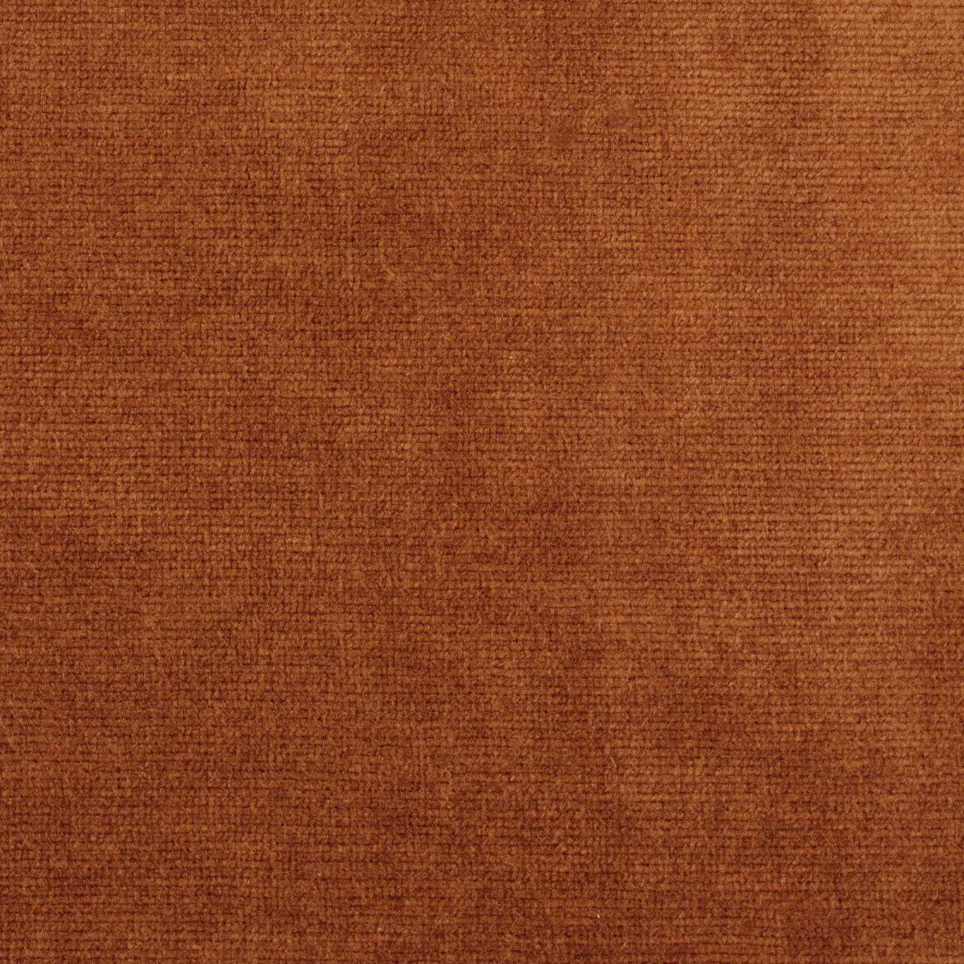 Sanderson Boho Velvets Rowanberry Fabric DIBV237446