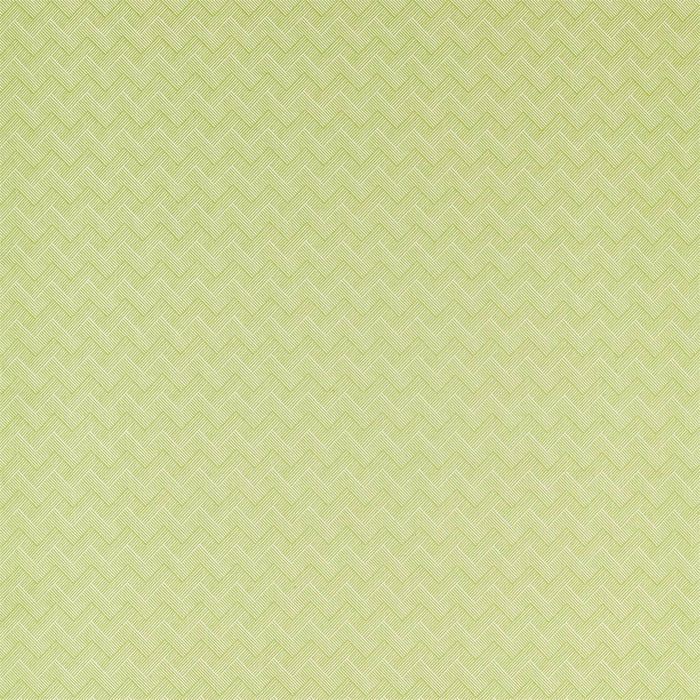 Sanderson Nelson Lime Fabric Sample DLNC236800
