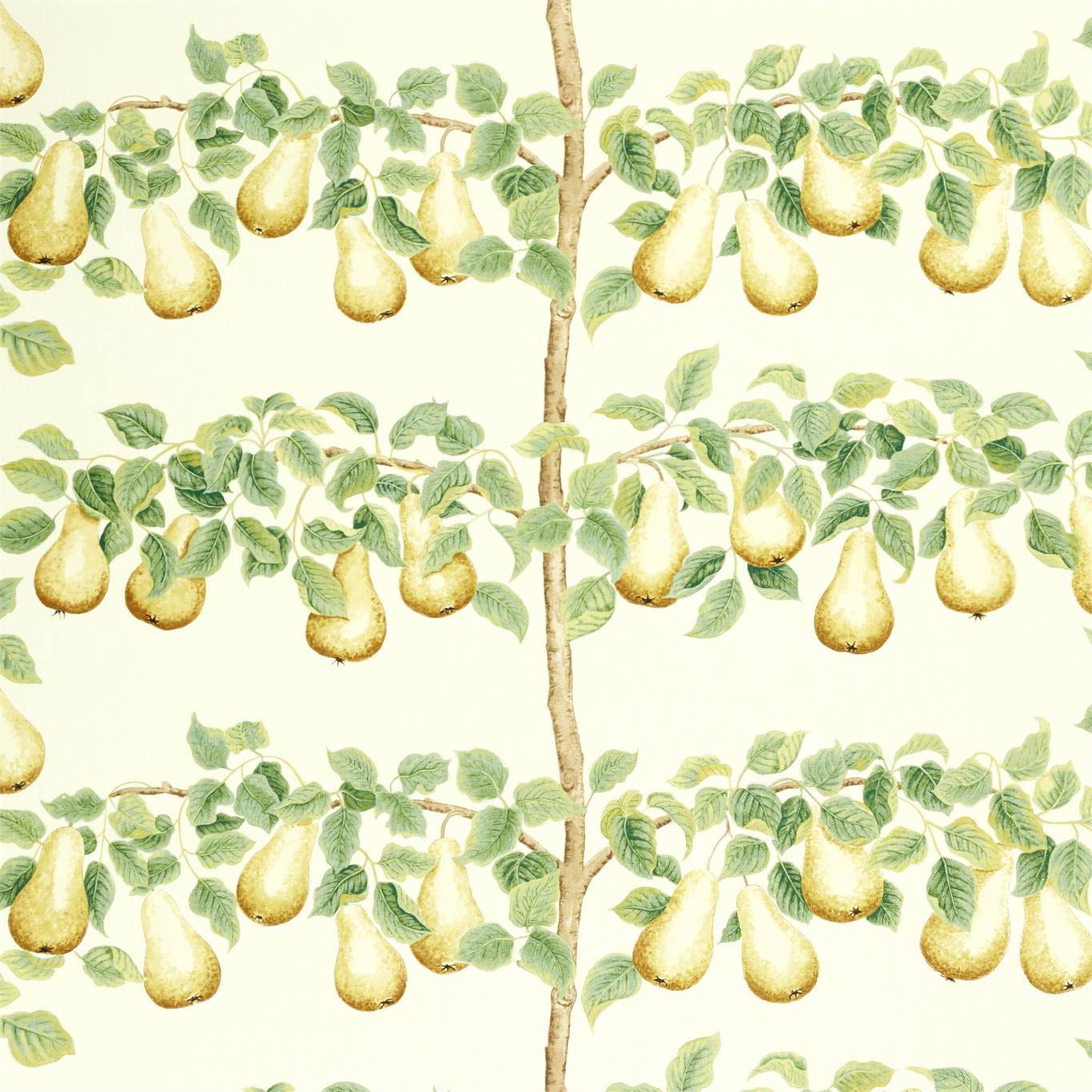 Sanderson Perry Pears Ochre/Leaf Green 226735 Fabric Sample DNTF226735