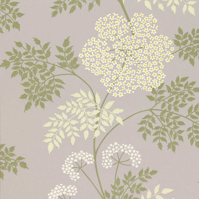 Sanderson Cowparsley Amethyst Wallpaper Sample DOPWCO103