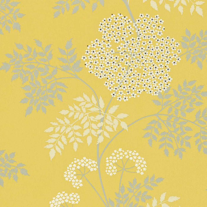 Sanderson Cowparsley Chinese Yello Wallpaper Sample DOPWCO105
