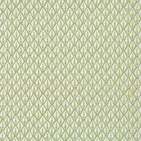 Kravet Basics Dorso Olive Fabric DORSO.23.0
