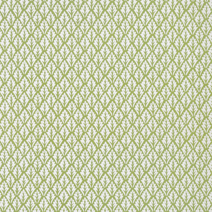 Kravet Basics Dorso Olive Fabric Sample DORSO.23.0
