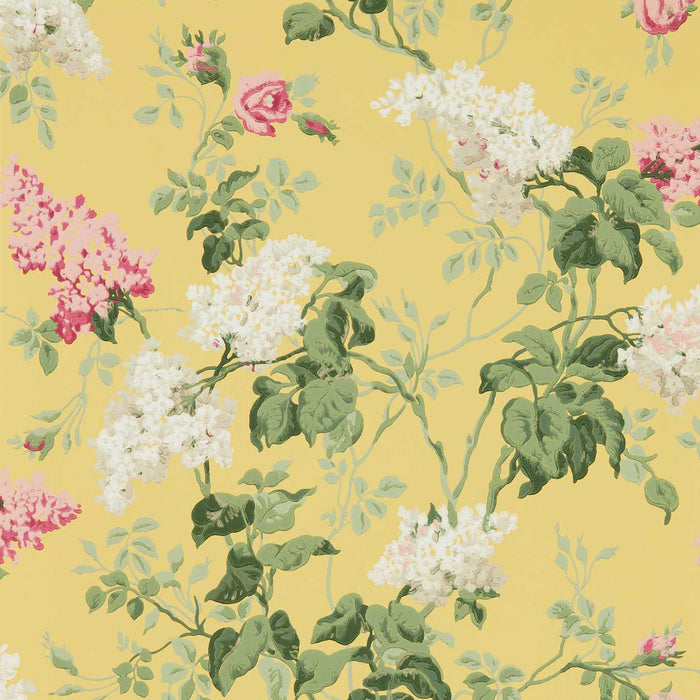 Sanderson Sommerville Carmen/Daffodil Wallpaper Sample DOSW217051
