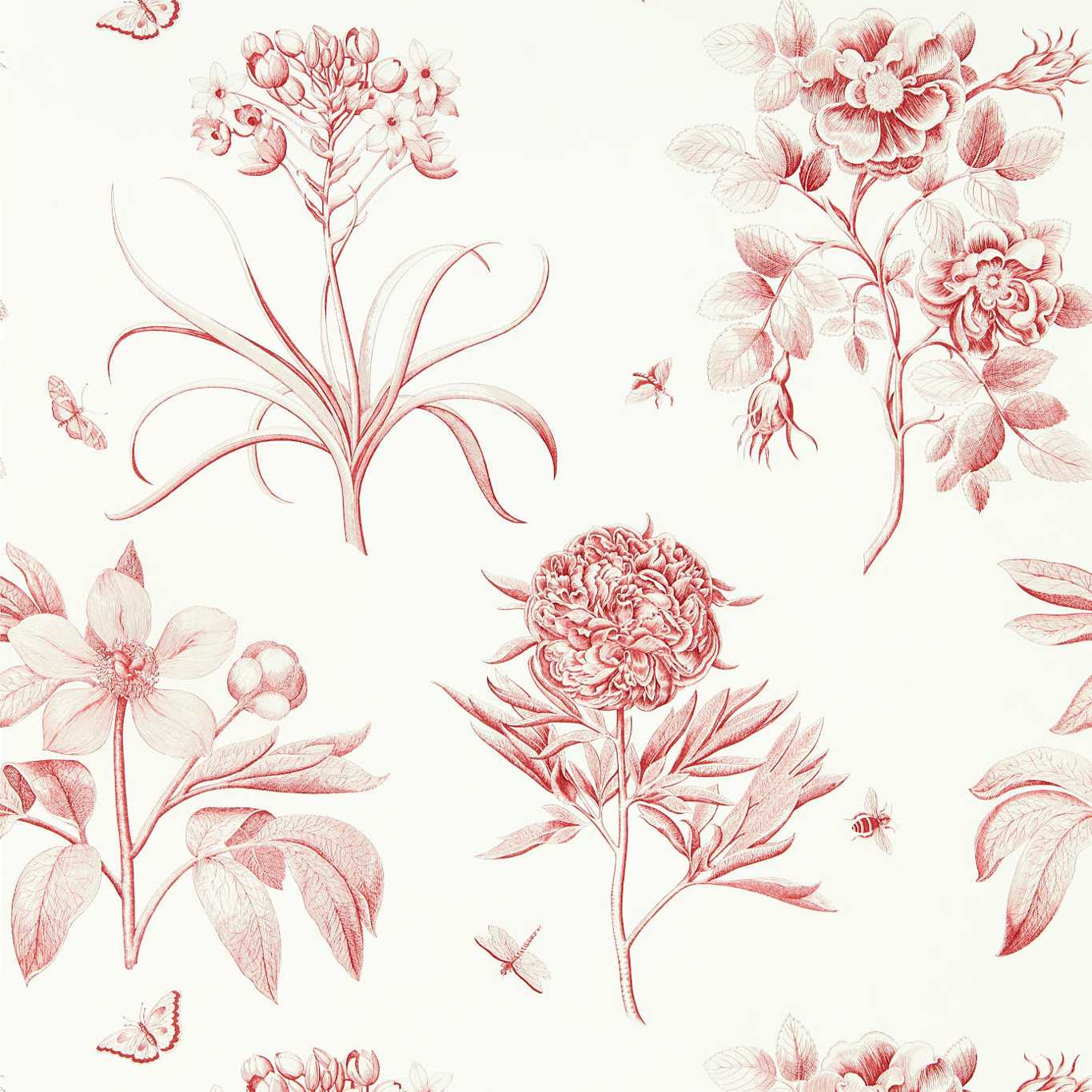 Sanderson Etchings & Roses Amanpuri Red Wallpaper Sample DOSW217054