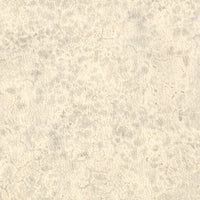 Nobilis Moon 20 Wallpaper DPN20