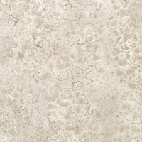 Nobilis Moon 22 Wallpaper DPN22