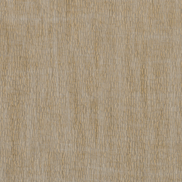Nobilis Gouge 61 Wallpaper Sample DPN61