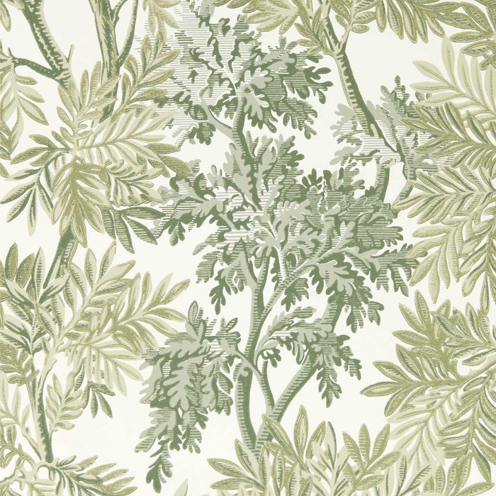 Sanderson Tapestry Trees Forest/Willow Wallpaper Sample DSAB217416